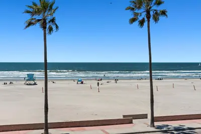 two palm trees on a beach with the ocean at 309A - Ocean and Beach View in Oceanside
