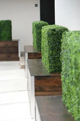 a row of green hedges in a building at Hotel Aqua Mar in San Diego