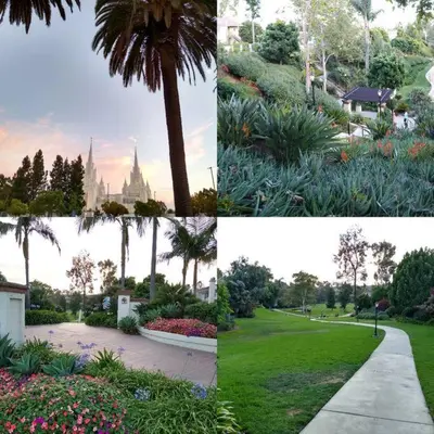 a collage of photos of a park with a palm tree at -Vacation-Top corner 2-story one bedroom La Jolla Condo in San Diego