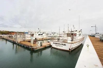 a group of boats docked at a dock at Nautical Point Loma Getaway - 7 mins to airport in San Diego