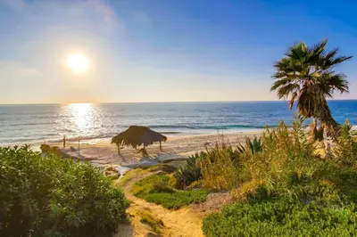 a beach with a palm tree and the ocean at Windansea 2 in San Diego