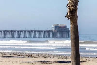 a beach with a pier and a palm tree at Oceanside Beach Condos in Oceanside
