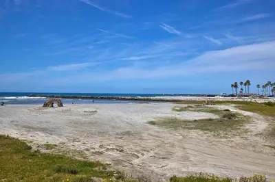 a sandy beach with palm trees and the ocean at Oceanside Beach Condos in Oceanside