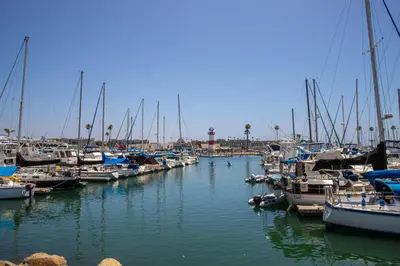 a bunch of boats docked in a marina at Oceanside Beach Condos in Oceanside