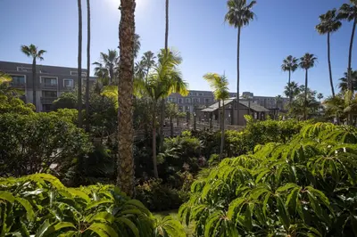 a group of palm trees and plants with buildings in the background at Oceanside Beach Condos in Oceanside