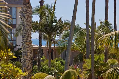 a group of palm trees in front of a building at Oceanside Beach Condos in Oceanside