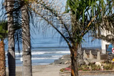 a view of the ocean from a beach with palm trees at Oceanside Beach Condos in Oceanside