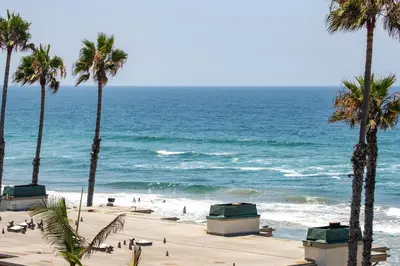 a beach with palm trees and the ocean at Oceanside Beach Condos in Oceanside