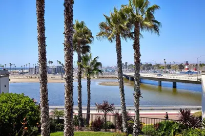 a group of palm trees near a river with a bridge at Oceanside Beach Condos in Oceanside
