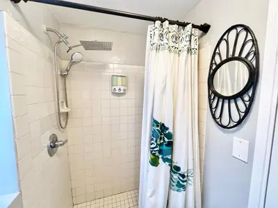 a bathroom with a shower curtain and a mirror at Urban Oasis near the Zoo A Central Studio for 2 in San Diego
