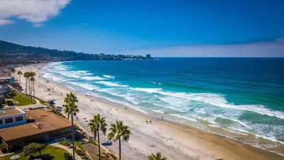 a view of a beach with palm trees and the ocean at Park Blvd 301 - Modern - Urban Oasis - SPA in San Diego