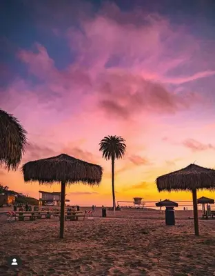 a sunset on a beach with palm trees and umbrellas at The Beachside Hideaway 3 blocks From The Beach! in Encinitas