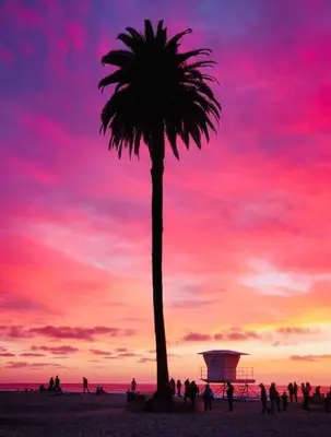 a palm tree on a beach with a sunset at The Beachside Hideaway 3 blocks From The Beach! in Encinitas