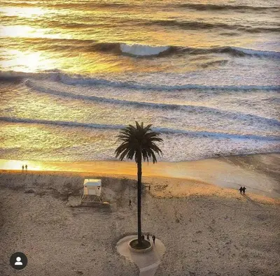 a palm tree and a chair on the beach at The Beachside Hideaway 3 blocks From The Beach! in Encinitas