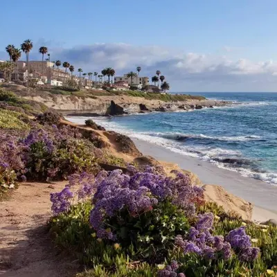 a beach with purple flowers next to the ocean at SPECIAL OFFER - Modern Apartment in La Jolla UTC - Close to Beaches, Shopping, Dining, UCSD in San Diego