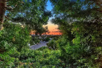 a view of a road through trees at sunset at Ocean-View Mountaintop Getaway. Jacuzzi/Ping-Pong! in San Diego
