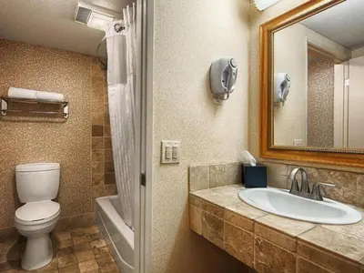 a bathroom with a toilet and a sink and a mirror at Laguna Brisas - A Beach Hotel in Laguna Beach