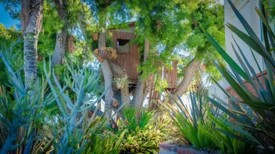 a tree house in a garden with plants at Mediterranean-Style Villa in Point Loma in San Diego