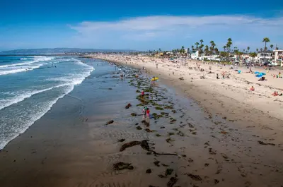 a beach with a lot of people and the ocean at 5BD Family, Event Friendly 4plex Steps2Beach in San Diego