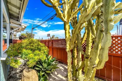 a cactus in a yard next to a fence at North Park Boho Bungalow by Rather Be Properties in San Diego