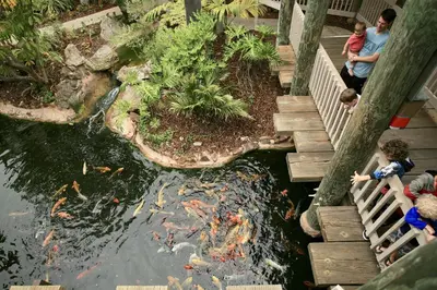 a group of people looking at a pond with kites in it at C302 - Surfside Sactuary in Oceanside