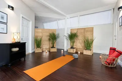 a living room with an orange rug and potted plants at The Pelican in Encinitas