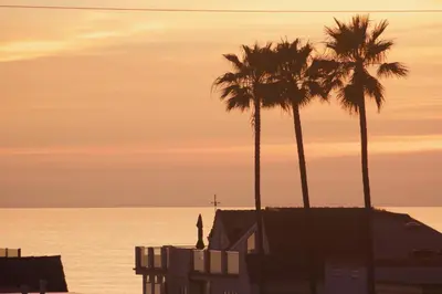 two palm trees and a person standing next to the ocean at 3610 Seashore Dr in Newport Beach