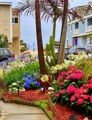a garden with flowers and palm trees on a street at 4212 Seashore Dr A in Newport Beach