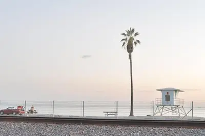 a palm tree and a bench on the beach at Diamond - Riviera Beach and Spa Resort 2bd in Dana Point