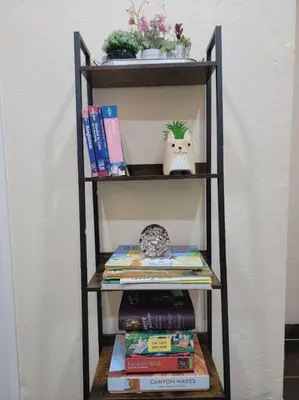 a book shelf with books and a plant on it at Exotic Gem Relaxing Farm Vibes Near Safari Zoo, Legoland & Wineries in Escondido
