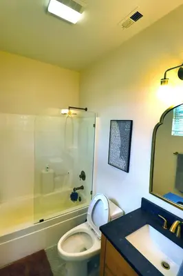 a bathroom with a toilet and a shower and a sink at Sweet Pea Place, 2 bed with pool in Encinitas