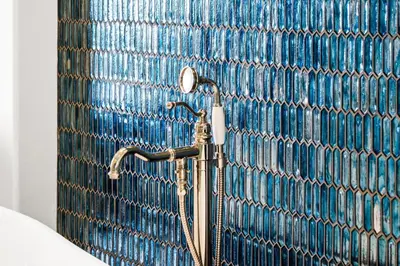 a shower in a bathroom with a blue wall at Grand Mediterranean Villa in La Jolla Hillside in San Diego
