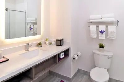 a bathroom with a sink and a toilet and a mirror at Holiday Inn Express & Suites San Diego - Mission Valley by IHG in San Diego