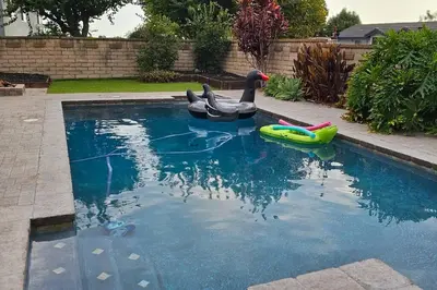 two rubber ducks are in a swimming pool at Anselmo in Mission Viejo