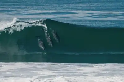 a large wave in the ocean with at Majestic Lux Home with Heated Pool and Spa! in San Diego