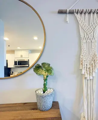 a mirror on a wall with a plant on a table at 2 bed 2 bath penthouse condo with AC and Ocean Views in San Diego
