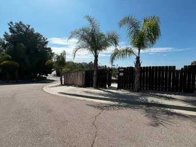 a fence and two palm trees on a street at Bird of Paradise Retreat with stunning mountain views in El Cajon