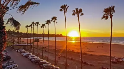 a sunset at the beach with palm trees and cars at The Shores 8 in San Diego