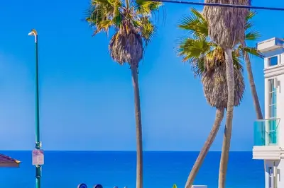three palm trees with the ocean in the background at Coastal Haven in San Diego