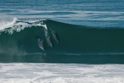 a surfer riding a wave in the ocean at 500 ft to Ocean Relaxing stay Parking WiFi 840 in San Diego