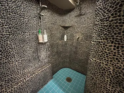 a bathroom with a shower with a blue tub at Guesthouse in Coastal Del Mar, California in San Diego