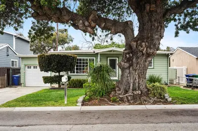 a green house with a tree in front of it at O-Side Beach Bungalow with Jaccuzi Blocks to beach in Oceanside