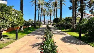 a sidewalk with palm trees and flowers in a park at 2003 Costa Del Mar Road - Unit 663 in Carlsbad