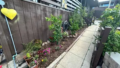 a garden with plants and flowers next to a fence at Suite Steps to San Diego Top Spots in San Diego