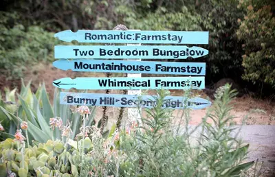 a group of signs in a garden with plants at Pet Friendly Fantastic Cottage with Hot-tub in Rainbow, California in Fallbrook