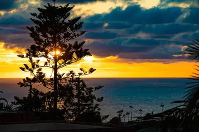 a sunset over the ocean with a pine tree at Ocean Views Walk to the Beach with King Suite in Encinitas