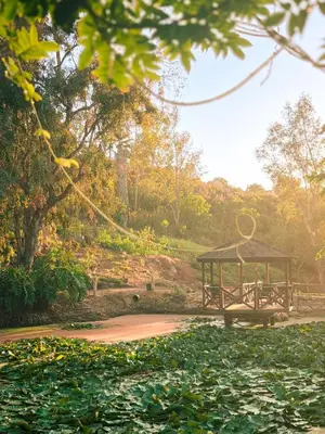 a park with a bench and a gazebo at Enchanted Estate With Animals Lightscapes and Whimsy in Bonsall