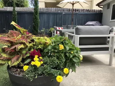 a patio with a table and chairs and flowers at Sunny Gardens A Classic La Jolla Beach Home Close to Wind n Sea Beach in San Diego