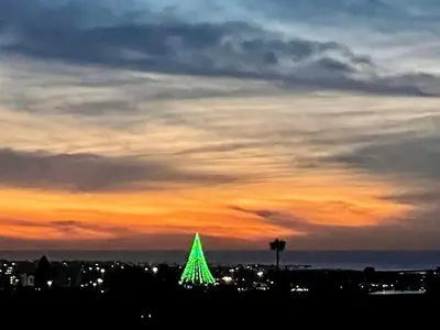 a green christmas tree in front of a sunset at Rooms in Bay Park, San Diego in San Diego