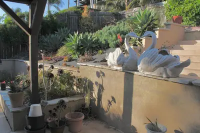 two statues of swans sitting on a wall at Rooms in Bay Park, San Diego in San Diego